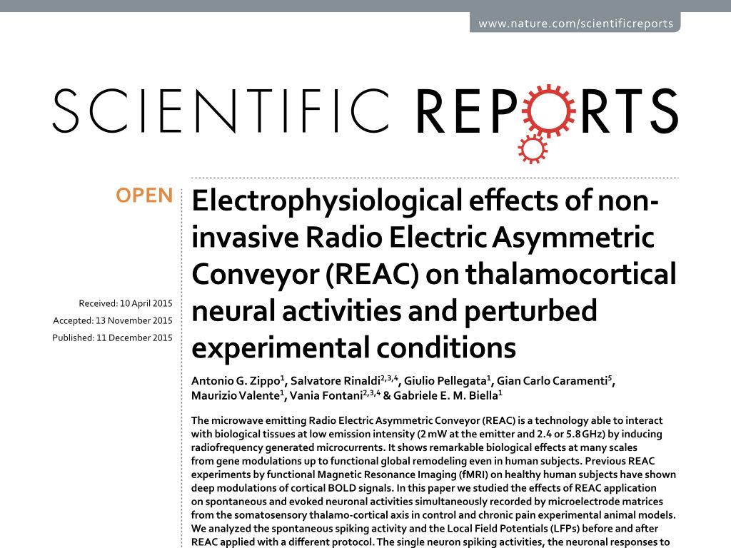 electrophysiological%20effects%20of%20non invasive%20radio%20electric%20asymmetric%20conveyor%20%28reac%29%20on%20thalamocortical%20neural%20activities%20and%20perturbed%20experimental%20conditions.jpeg