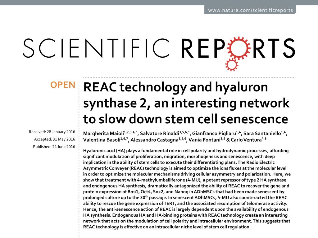 reac%20technology%20and%20hyaluron%20synthase%202,%20an%20interesting%20network%20to%20slow%20down%20stem%20cell%20senescence.jpeg