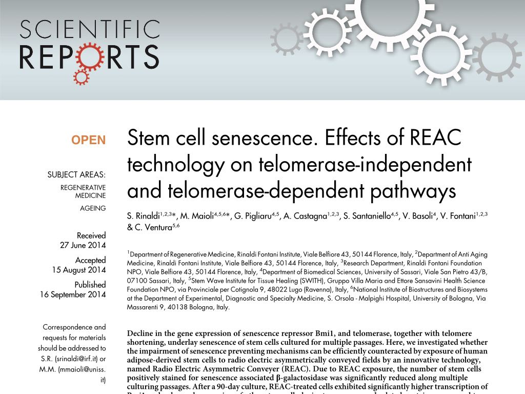 stem%20cell%20senescence.%20effects%20of%20reac%20technology%20on%20telomerase independent%20and%20telomerase-dependent%20pathways.jpeg